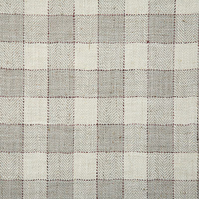 Pindler Wilde Shadow Fabric 7097