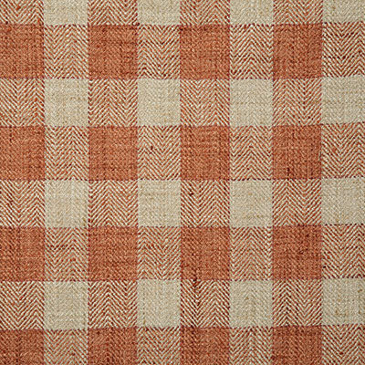 Pindler Wilde Spice Fabric 7097
