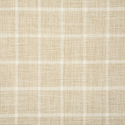 Pindler Dumas Cashmere Fabric 7098