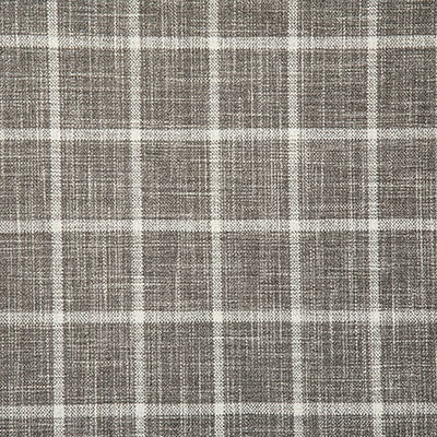 Pindler Dumas Storm Fabric 7098