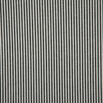 Pindler Savannah Domino Fabric 7107
