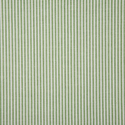 Pindler Savannah Kiwi Fabric 7107