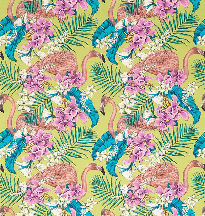 Matthew Williamson Flaming Clup 2 Fabric F6790-02