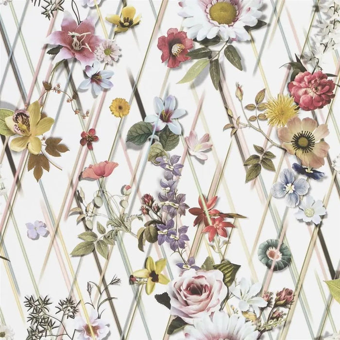 Christian Lacroix Rocaille 1 Wallpaper PCL1005-01