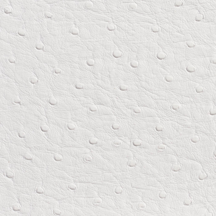 Charlotte White Fabric 7700