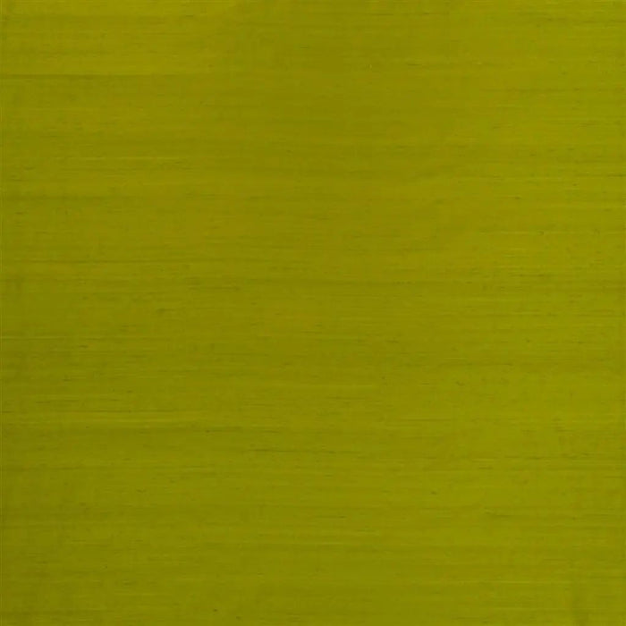 Designers Guild Chinon 21 Fabric F1165-21