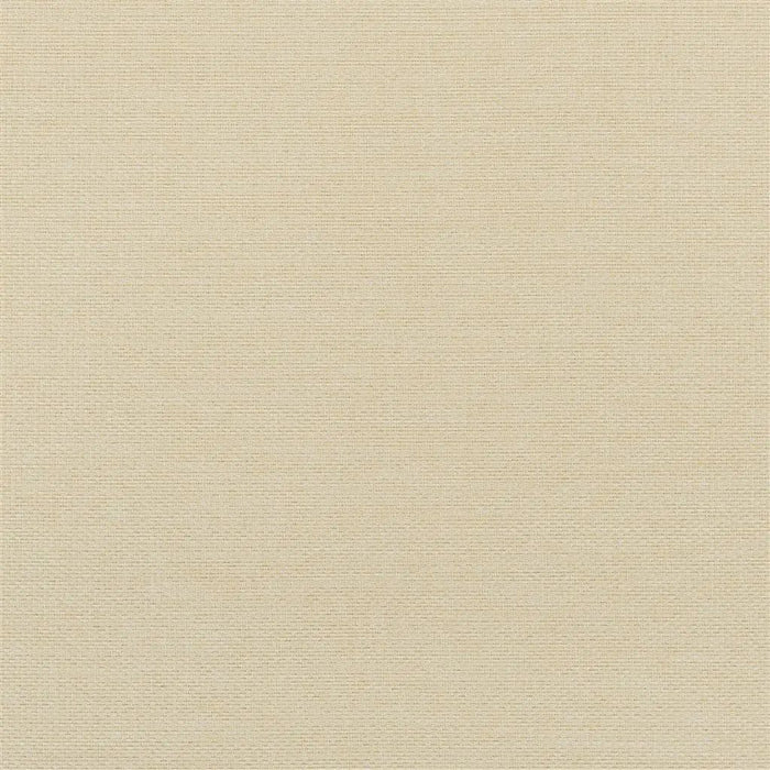 Designers Guild Belloni 18 Fabric FDG2768-18