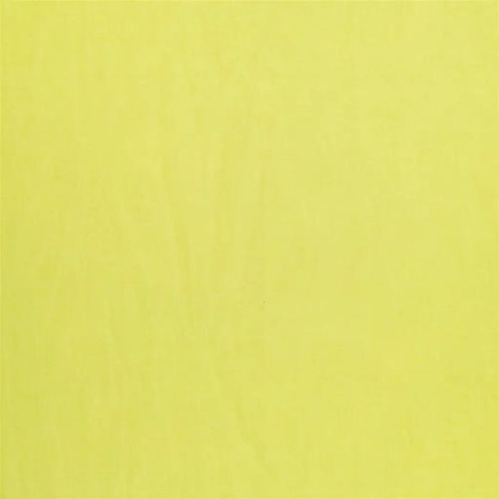 Designers Guild Chavannes 1 Fabric F1238-01