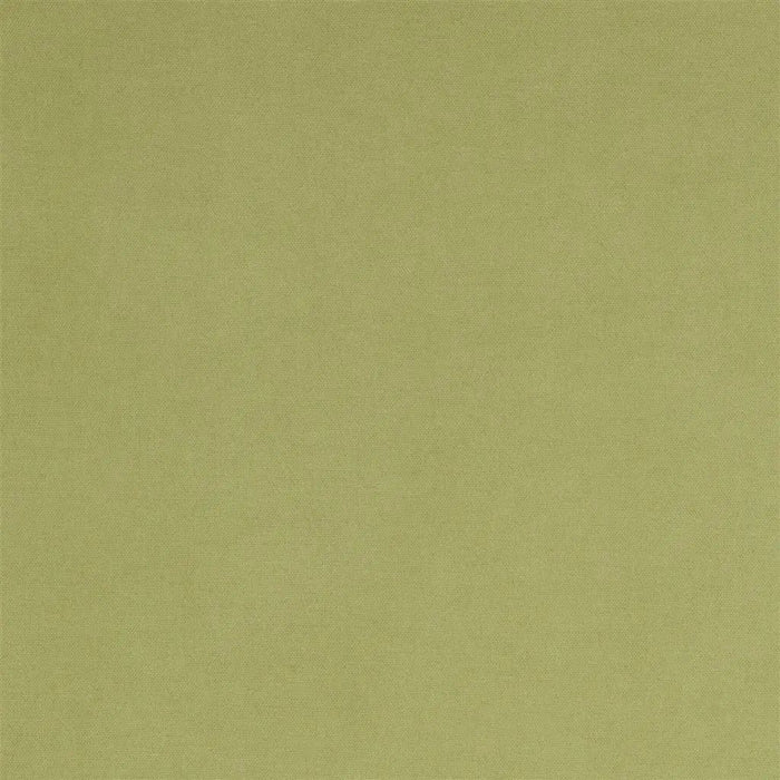 Designers Guild Madrid 11 Fabric FDG2797-11