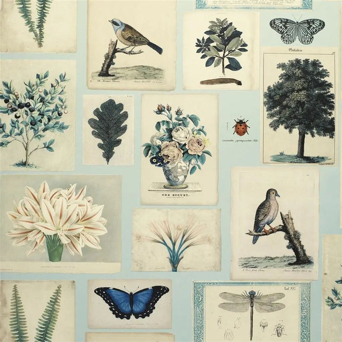 John Derian Flora And Fauna 2 Wallpaper PJD6001-02