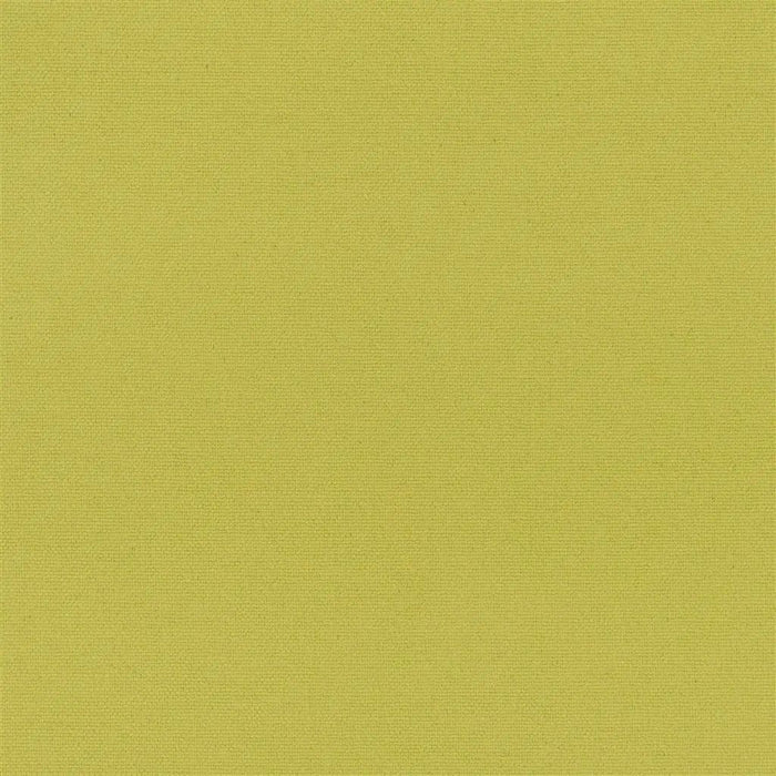 Designers Guild Madrid 12 Fabric FDG2797-12