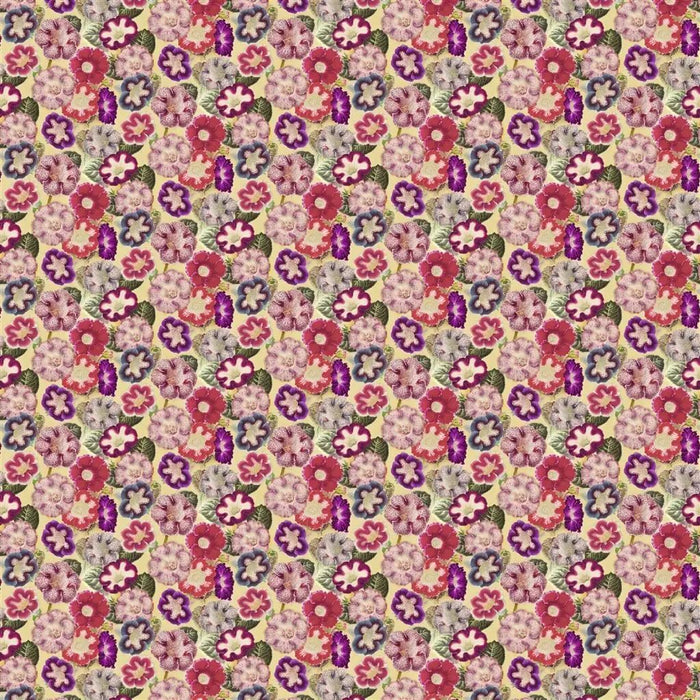 John Derian Varietes De Gloxinia 1 Fabric FJD6001-01