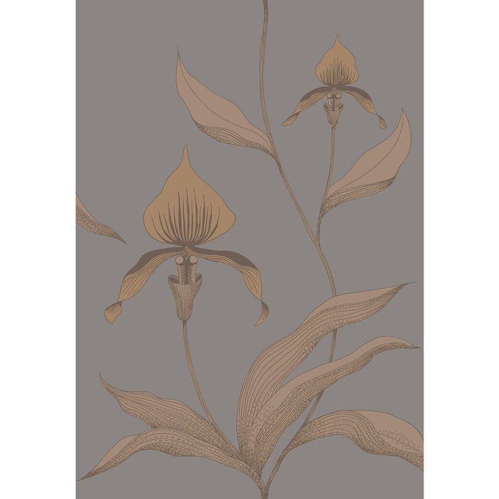 Cole & Son Orchid Bronze/Slate Wallpaper 95/10056.CS.0