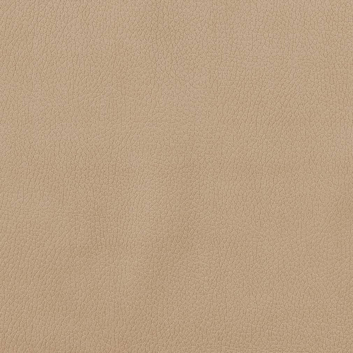 Charlotte Fabric CB600-156