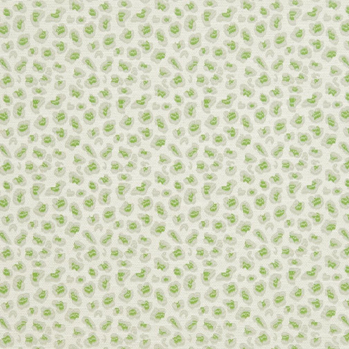 Charlotte Fabric CB700-311