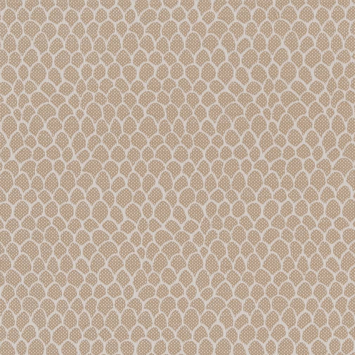 Charlotte Fabric CB700-400