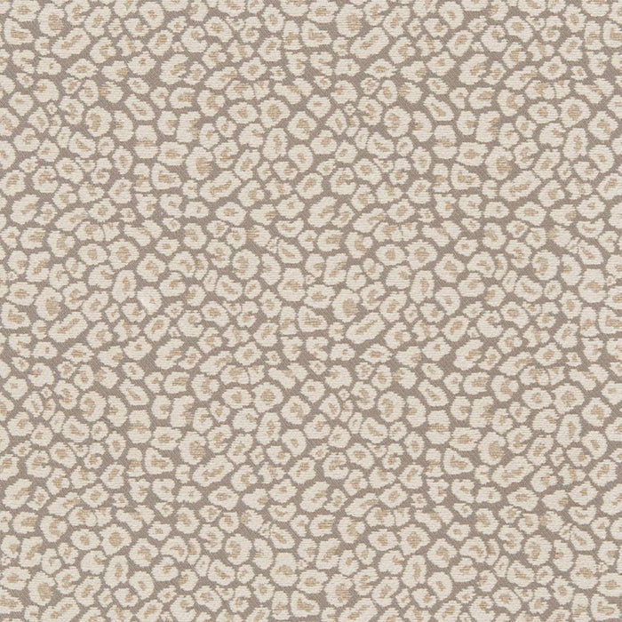 Charlotte Fabric CB800-220