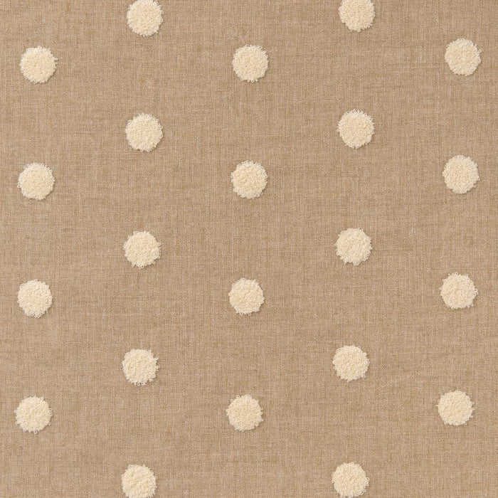 Charlotte Fabric CB900-54