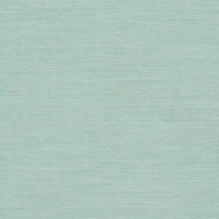 Charlotte Seamist Fabric Sample D1009