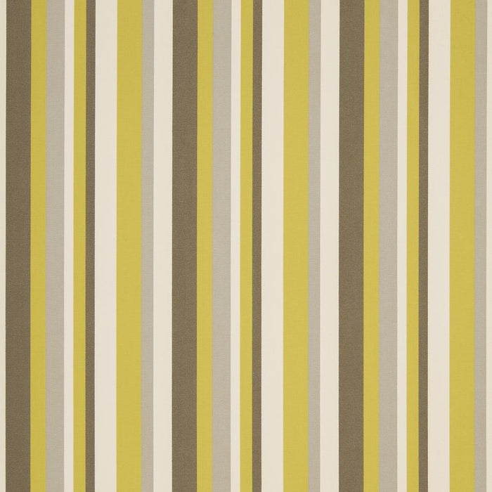 Charlotte Lemon Fabric D1014