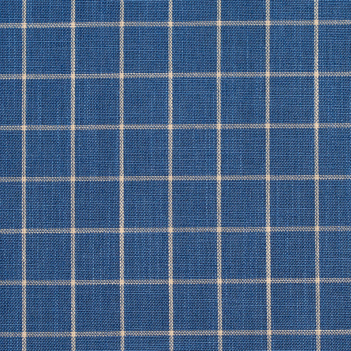 Charlotte Wedgewood Checkerboard Fabric Sample D123