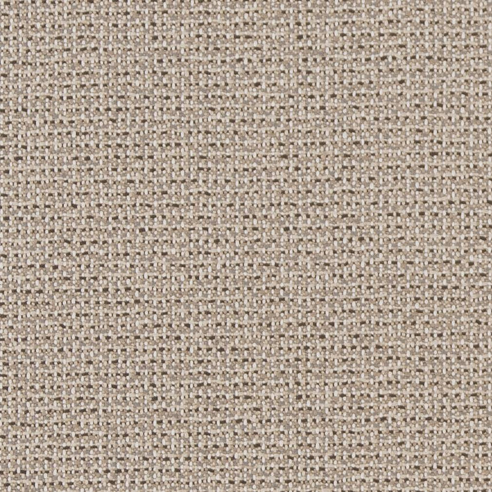 Charlotte Ecru Texture Fabric Sample D1447