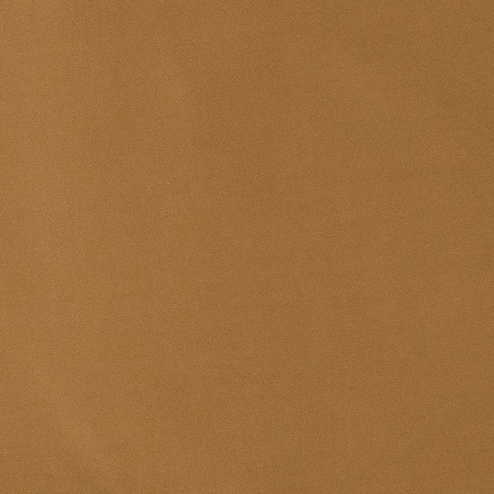 Charlotte Golden Fabric Sample D1488