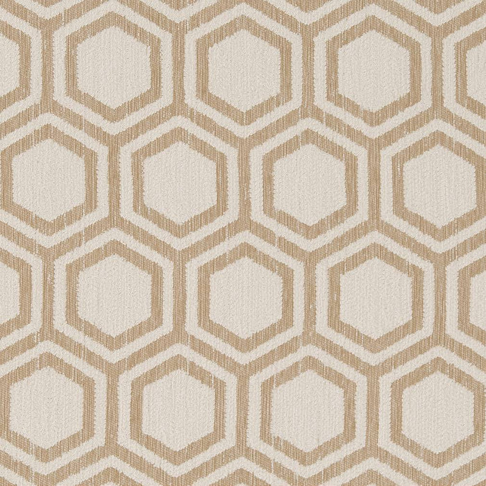 Charlotte Sand Dollar Fabric Sample D1635