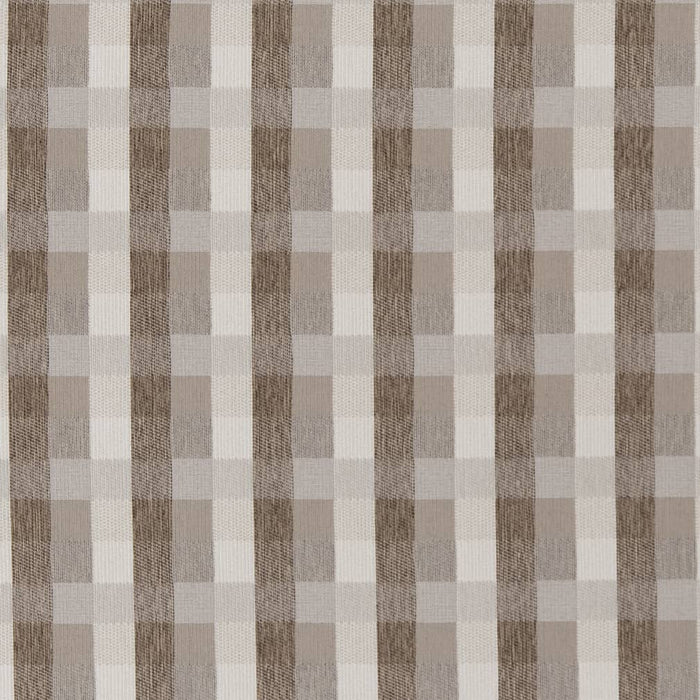 Charlotte Dove Fabric D1977