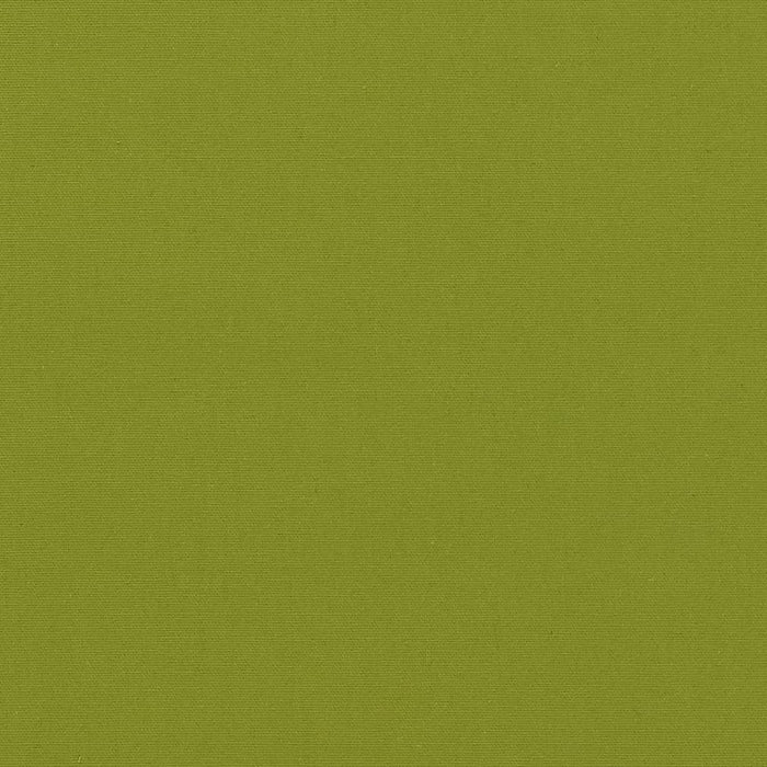 Charlotte Lime Fabric Sample D2335