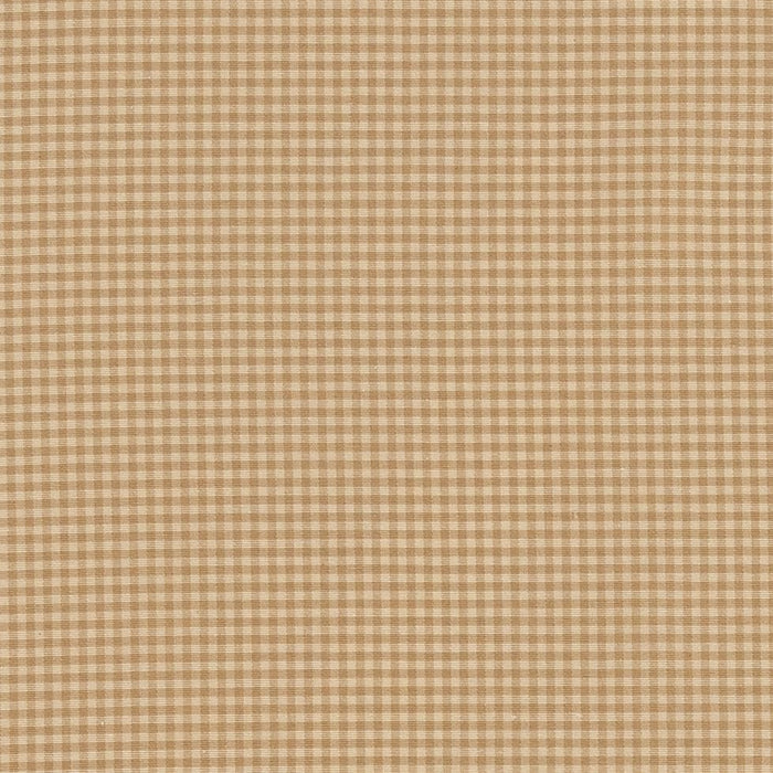 Charlotte Oat Fabric Sample D2395