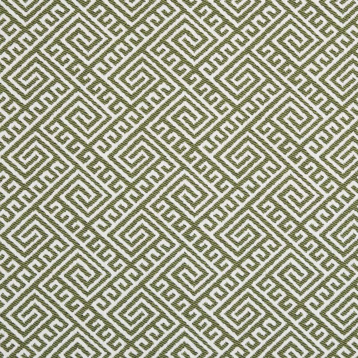 Charlotte Lime Fabric Sample D2553