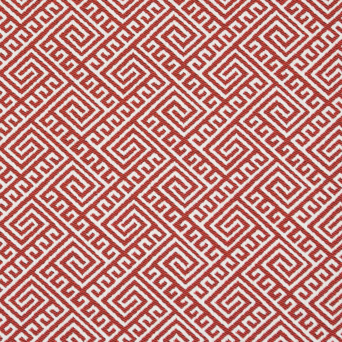 Charlotte Watermelon Fabric D2555