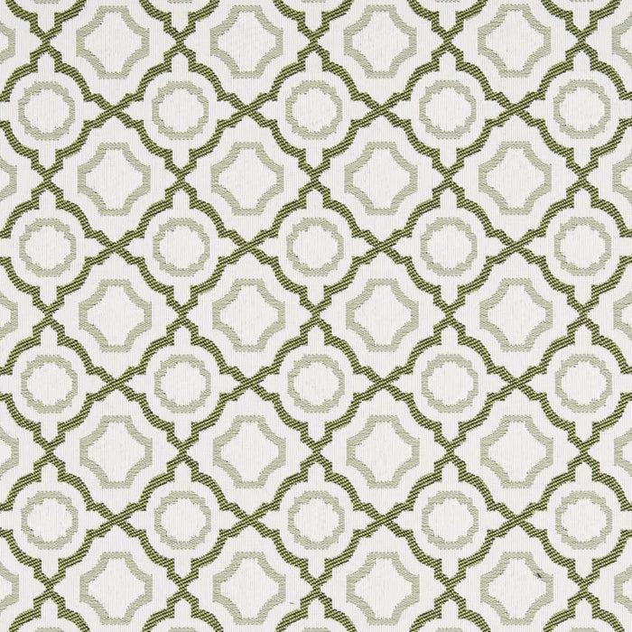Charlotte Avocado Fabric Sample D2559