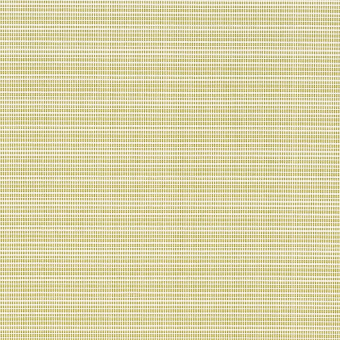 Charlotte Avocado Fabric Sample D2846
