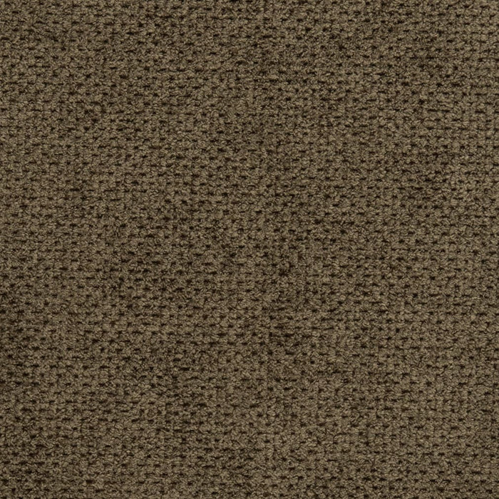 Charlotte Umber Fabric Sample D3016