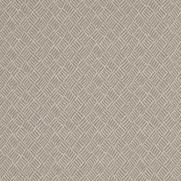 Charlotte Silver Fabric Sample D3093