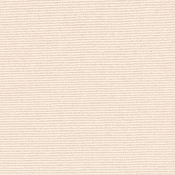 Charlotte Ivory Fabric Sample D3363