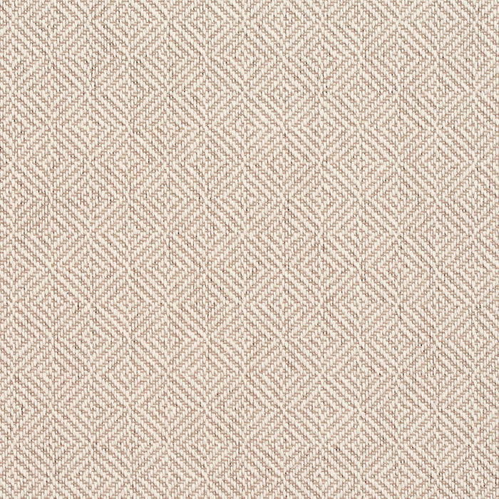 Charlotte Parchment Fabric Sample D375