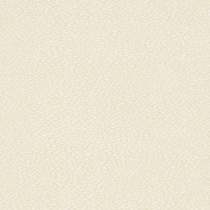 Charlotte Pebble/buff Fabric Sample D895