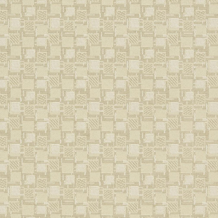 Charlotte Squares/canvas Fabric Sample D923