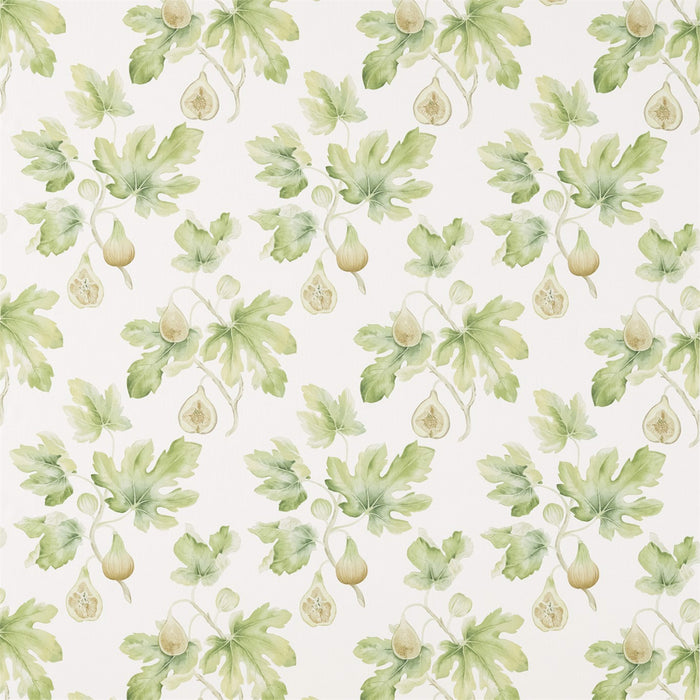 Sanderson Fig Harvest Garden Green 226329 Fabric DART226329