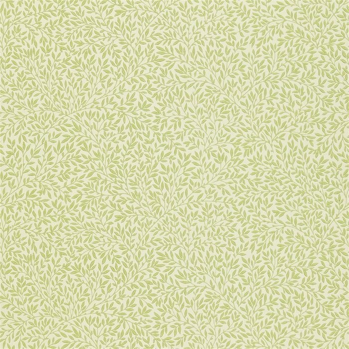 Morris & Co Standen Fennel/Chalk 48108 Wallpaper DGW148108
