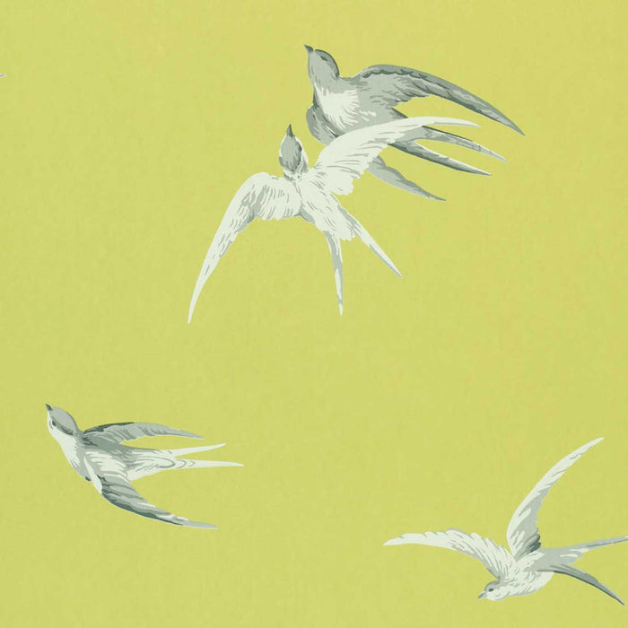 Sanderson Swallows Lime SW101 Wallpaper DVIWSW101