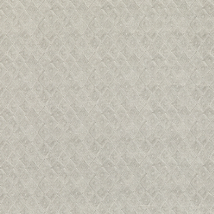 Threads Boundary Dove Fabric ED75042.3.0