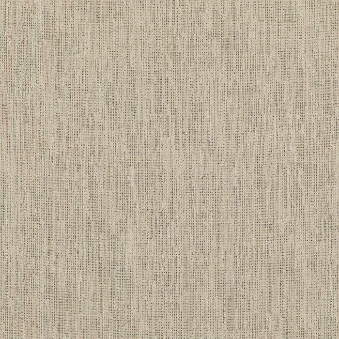 Threads Stipple Charcoal Fabric ED85317.985.0