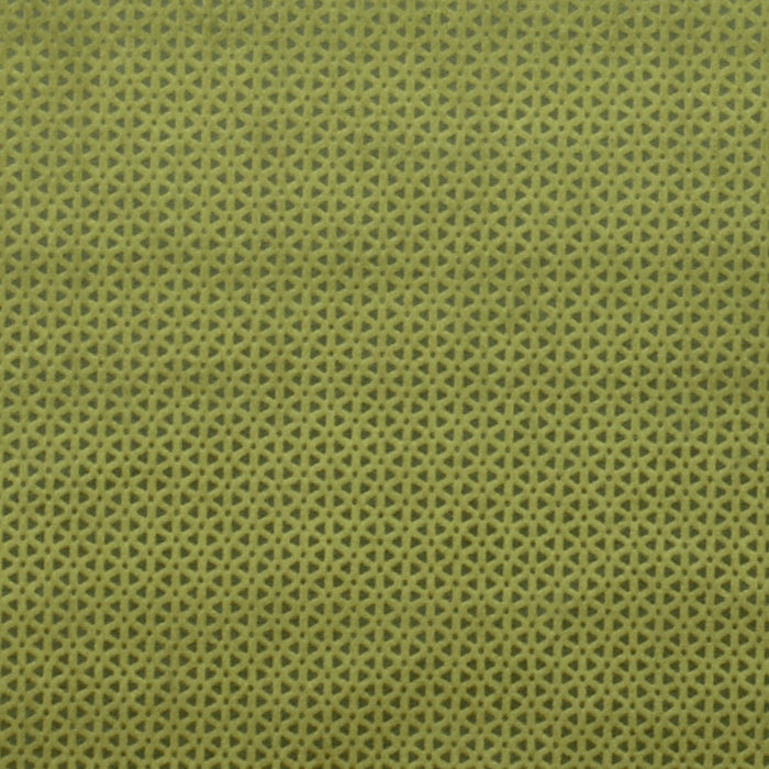 Clarke & Clarke Loreto Olive Fabric F0968/06.CAC.0
