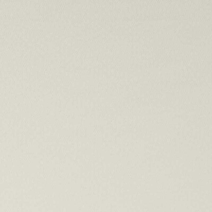 Clarke & Clarke Spectrum Ivory Fabric F1062/17.CAC.0