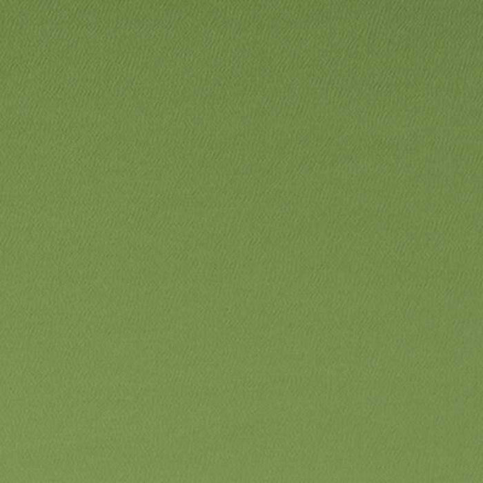 Clarke & Clarke Spectrum Oregano Fabric F1062/26.CAC.0