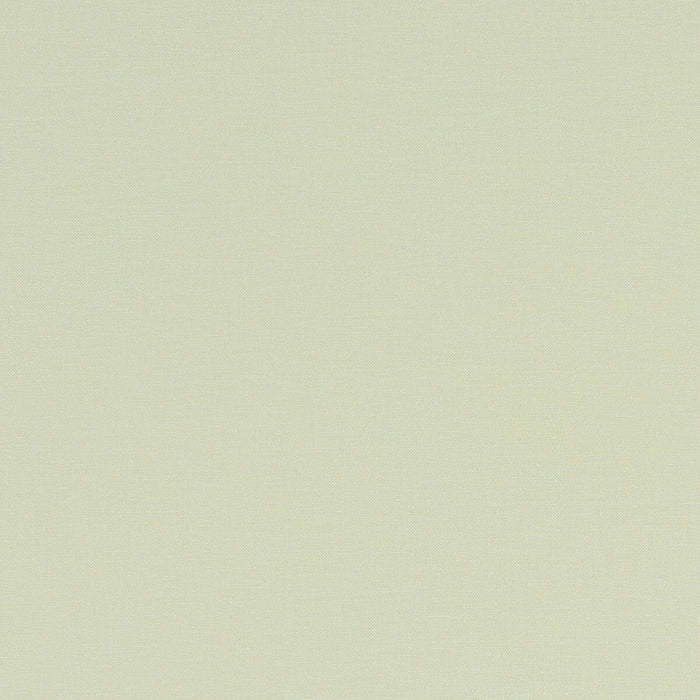 Clarke & Clarke Alora Celadon Fabric F1097/05.CAC.0